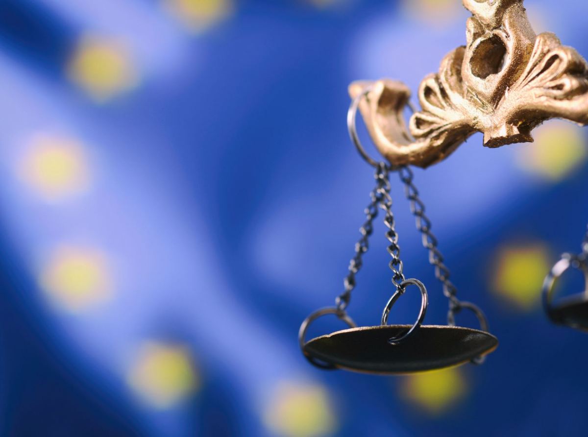 What Can Asymmetric Federalism and Differentiation in EU Law Learn From Each Other? Asymmetric Federalism  as an Explanatory Model for Differentiation in EU Law